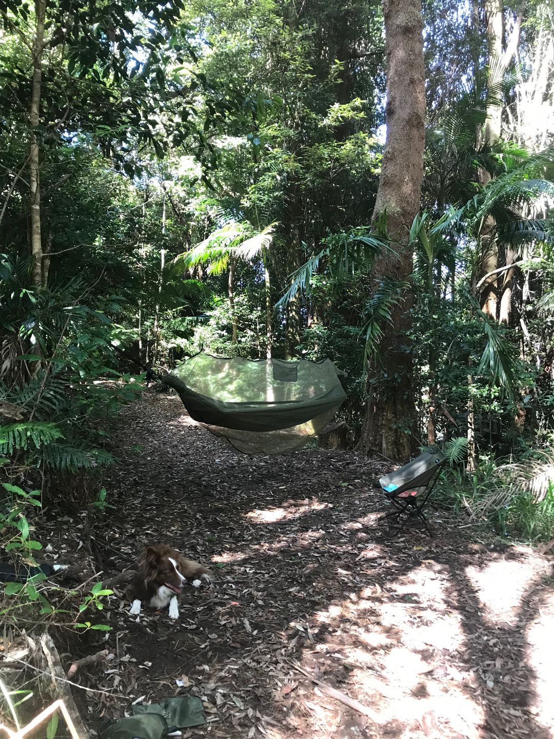 Customer photo review of Ultralight Hammock Set