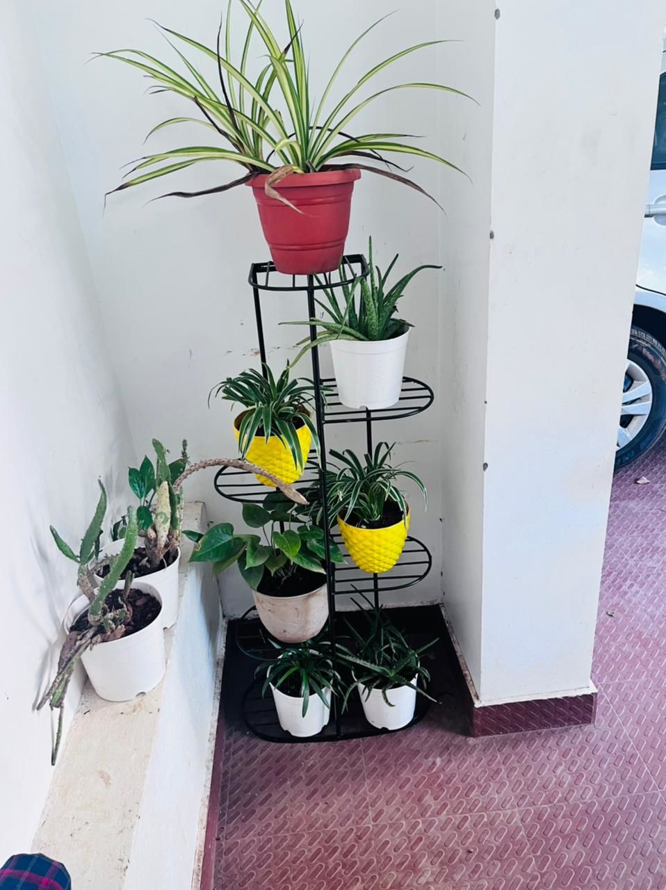 Customer photo review of Plant Stand Metal 6 Tier 7 Potted Multiple Flower Pot Holder Shelf Indoor Outdoor Planter Display Shelving Unit for Patio Garden Corner
