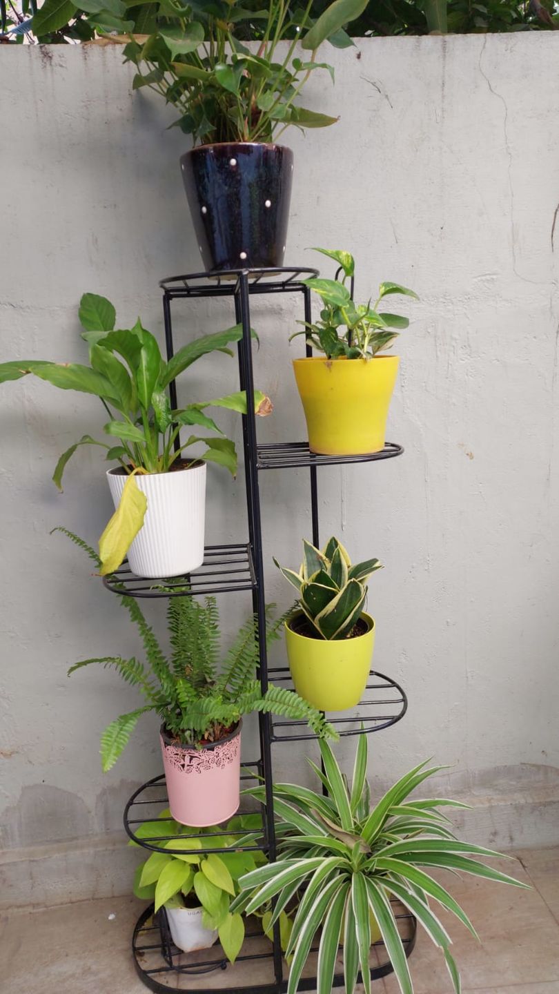 Customer photo review of Plant Stand Metal 6 Tier 7 Potted Multiple Flower Pot Holder Shelf Indoor Outdoor Planter Display Shelving Unit for Patio Garden Corner