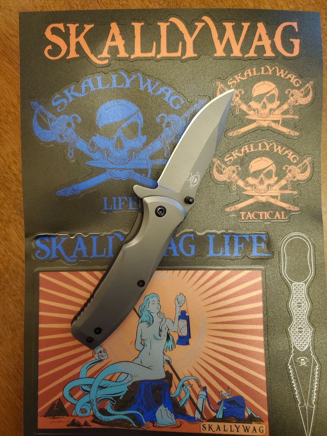 Customer photo review of Mini Jack