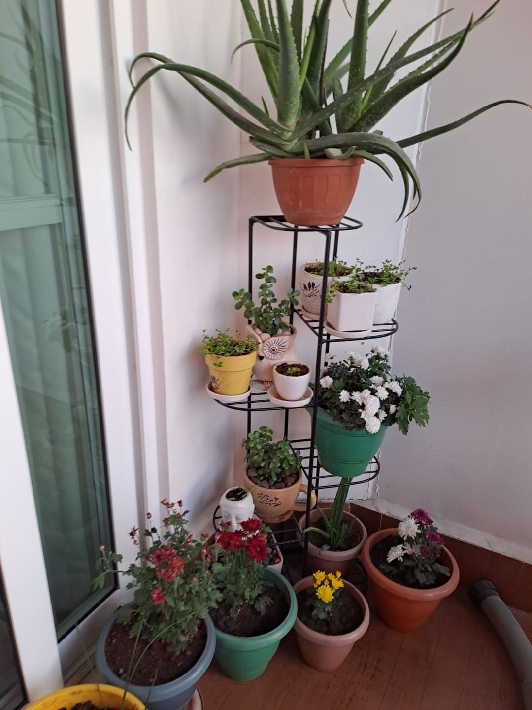 Customer photo review of Plant Stand Metal 6 Tier 7 Potted Multiple Flower Pot Holder Shelf Indoor Outdoor Planter Display Shelving Unit for Patio Garden Corner