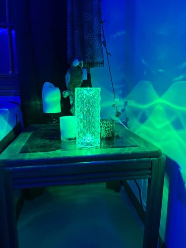 Customer photo review of Crystal Bar Table Light
