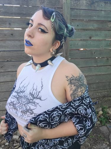 Customer photo review of Bowser Collar