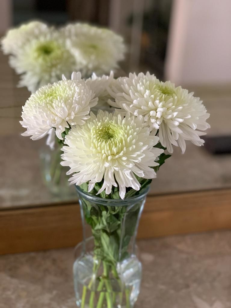 Customer photo review of Subscribe to Cut Flowers - PREMIUM