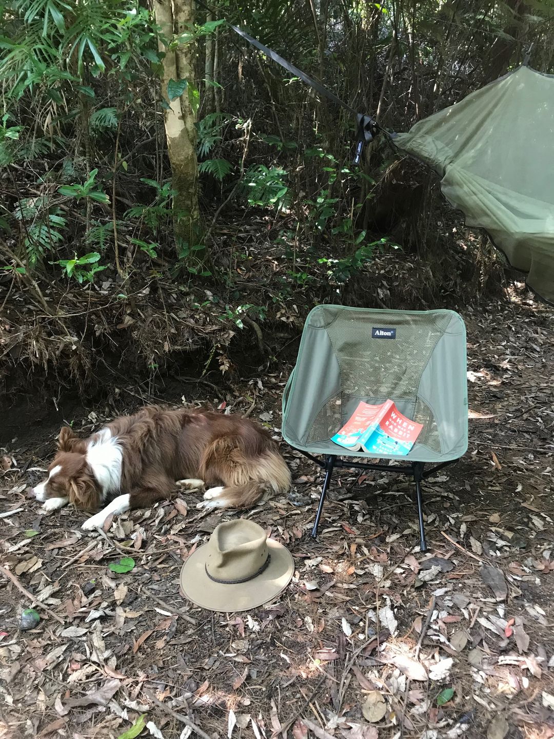 Customer photo review of Lightweight Camp Chair