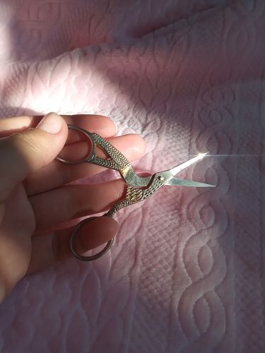 Customer photo review of Tijera Punta de Garza Camaleón Fantasy Nails