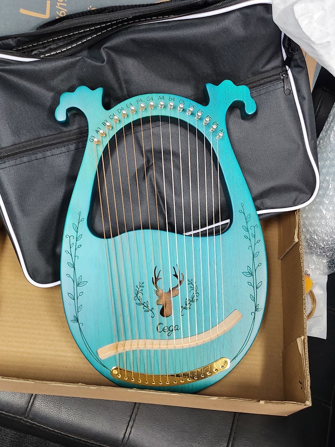 Customer photo review of NARA LYRE 16 String Mahogany w/Bag