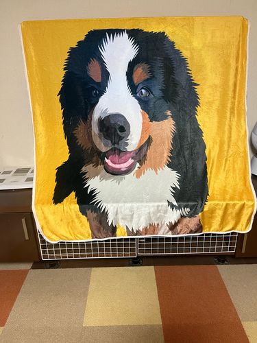 Customer photo review of ❥全身絵❥  ★ペットの写真からオーダー ブランケット ♪ ★ 犬•猫•ウサギ•小動物