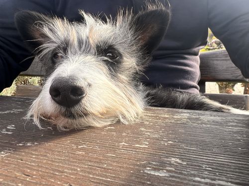 Customer photo review of Poster | Eigenes Motiv | Hochformat