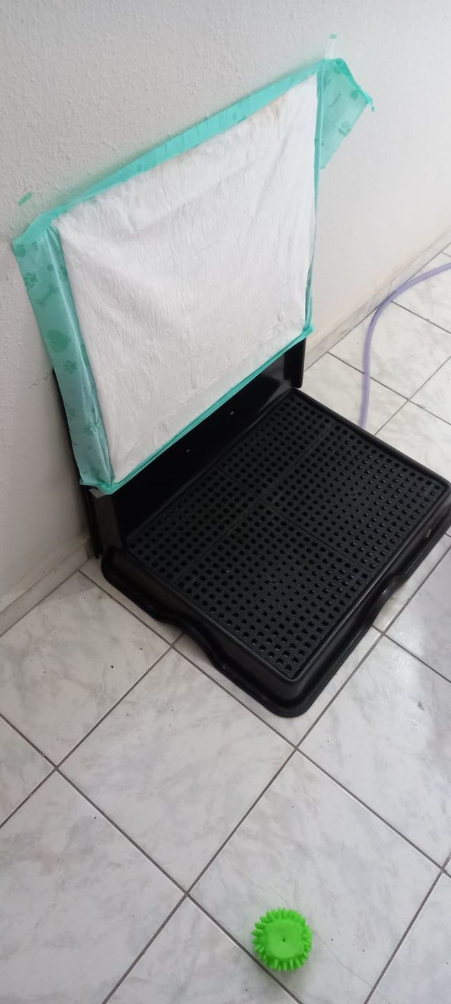 Customer photo review of Parede Hidrante