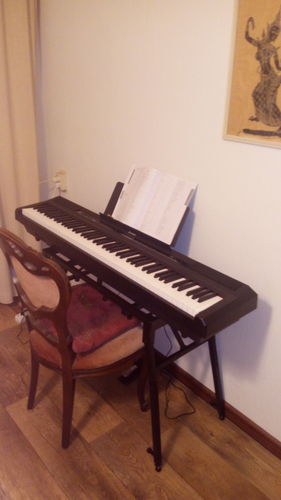 Customer photo review of Donner DEP-20 Portable Keyboard 88-Key Weighted with Sustain Pedal