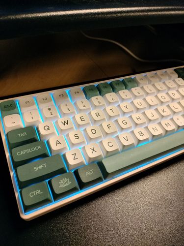 Customer photo review of Botanical Keycaps MDA / XDA / CHERRY Profile PBT Dye-sublimation Keycaps Kit with 138 keys for MX Mechanical Keyboard