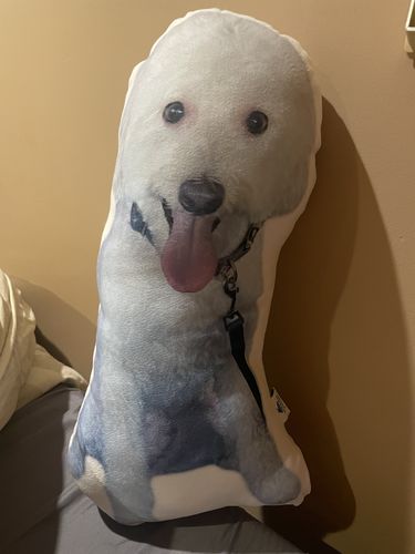 Customer photo review of Create A Custom Dog Pillow