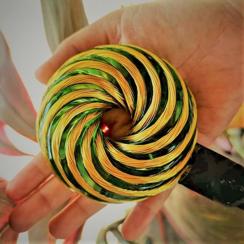 Customer photo review of Qi Coil™ 3S Parasite Detox Transformation System with Resonant Console 2