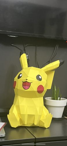 Customer photo review of Patrons Pikachu (pdf)