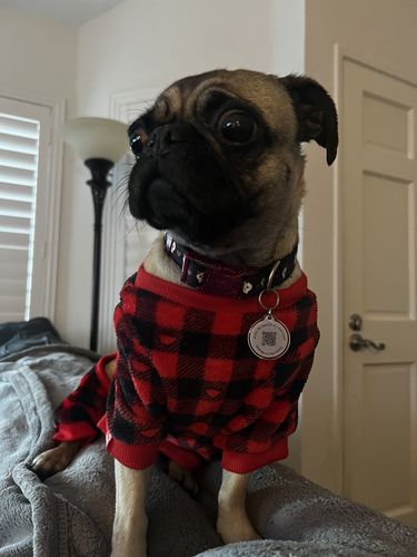 Customer photo review of Pink