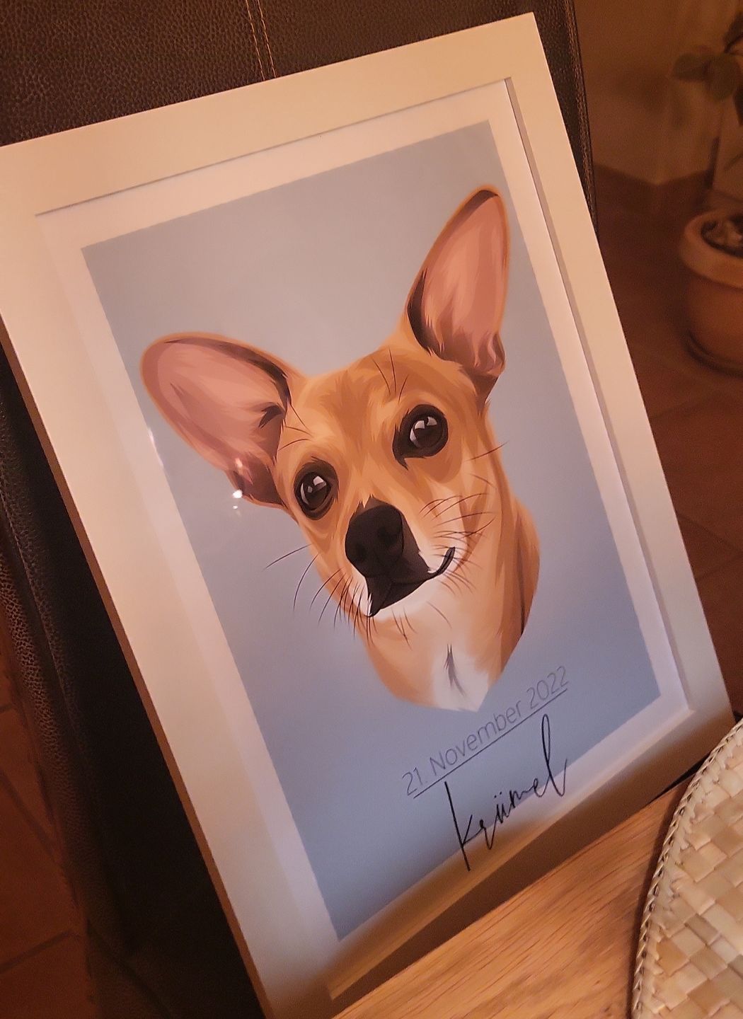 Customer photo review of Portrait deines Tieres