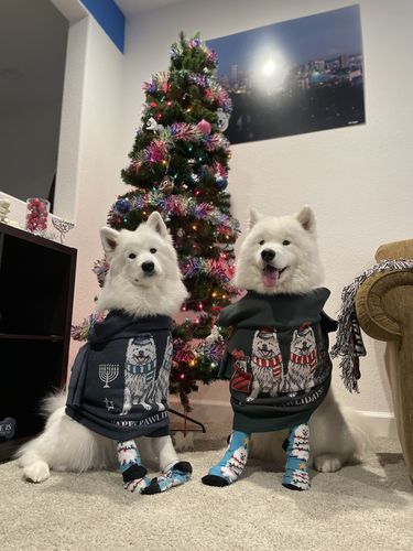 Customer photo review of Portrait Only Pet Custom Sweater