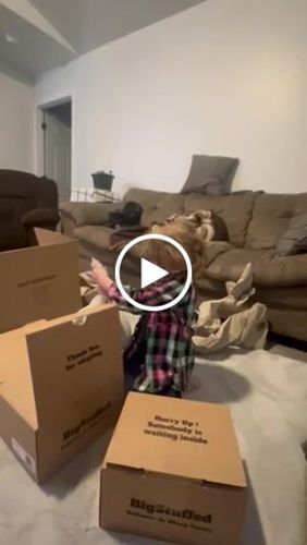 Customer video review of The Mini Octopus