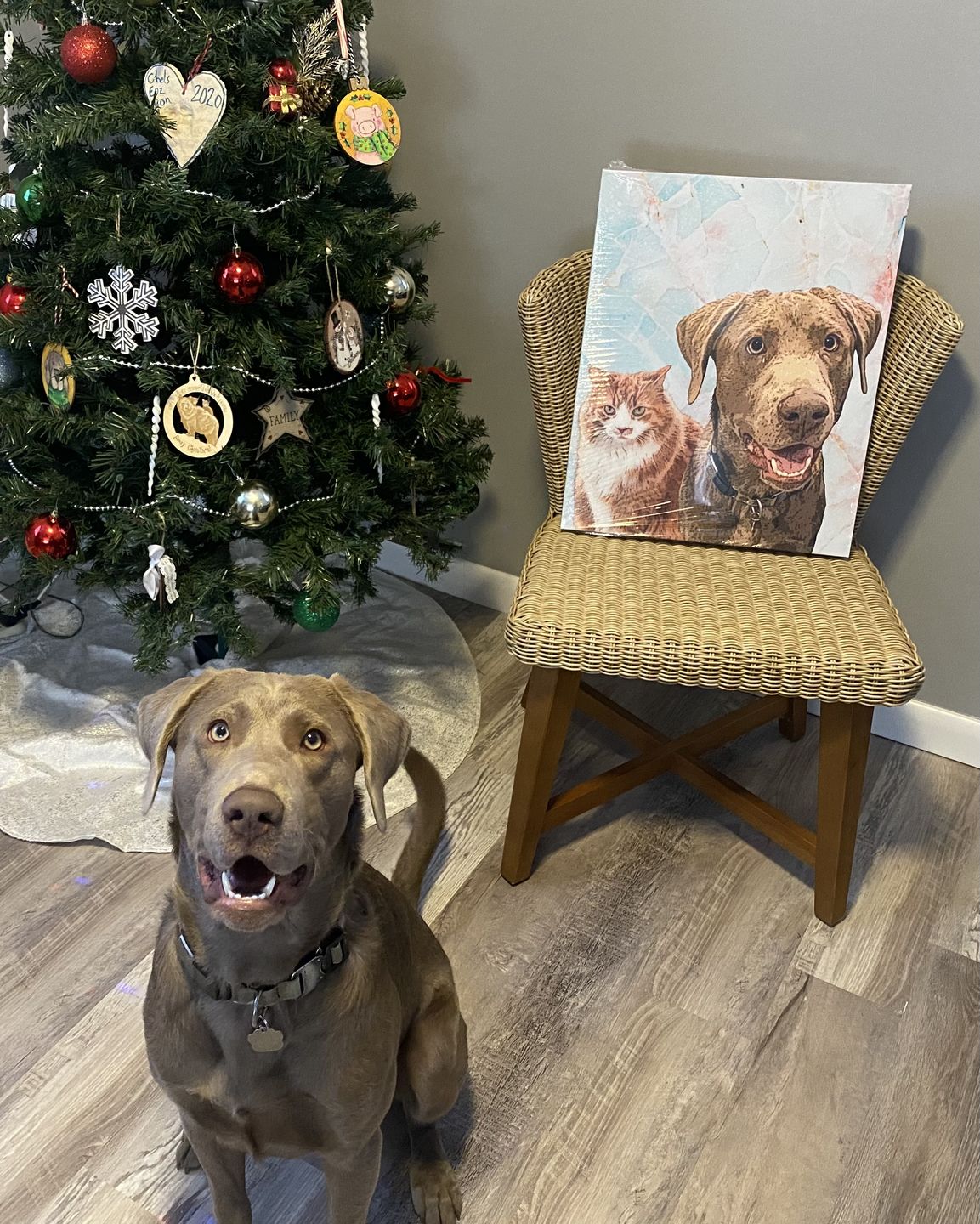 Customer photo review of Custom Pet Art Canvas Wrap