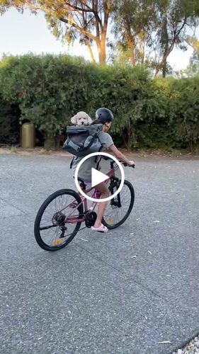 Customer video review of All In One Pet Carrier Bag | Dog Bike Basket | Backpack for Dogs & Cats | Car Booster Seat