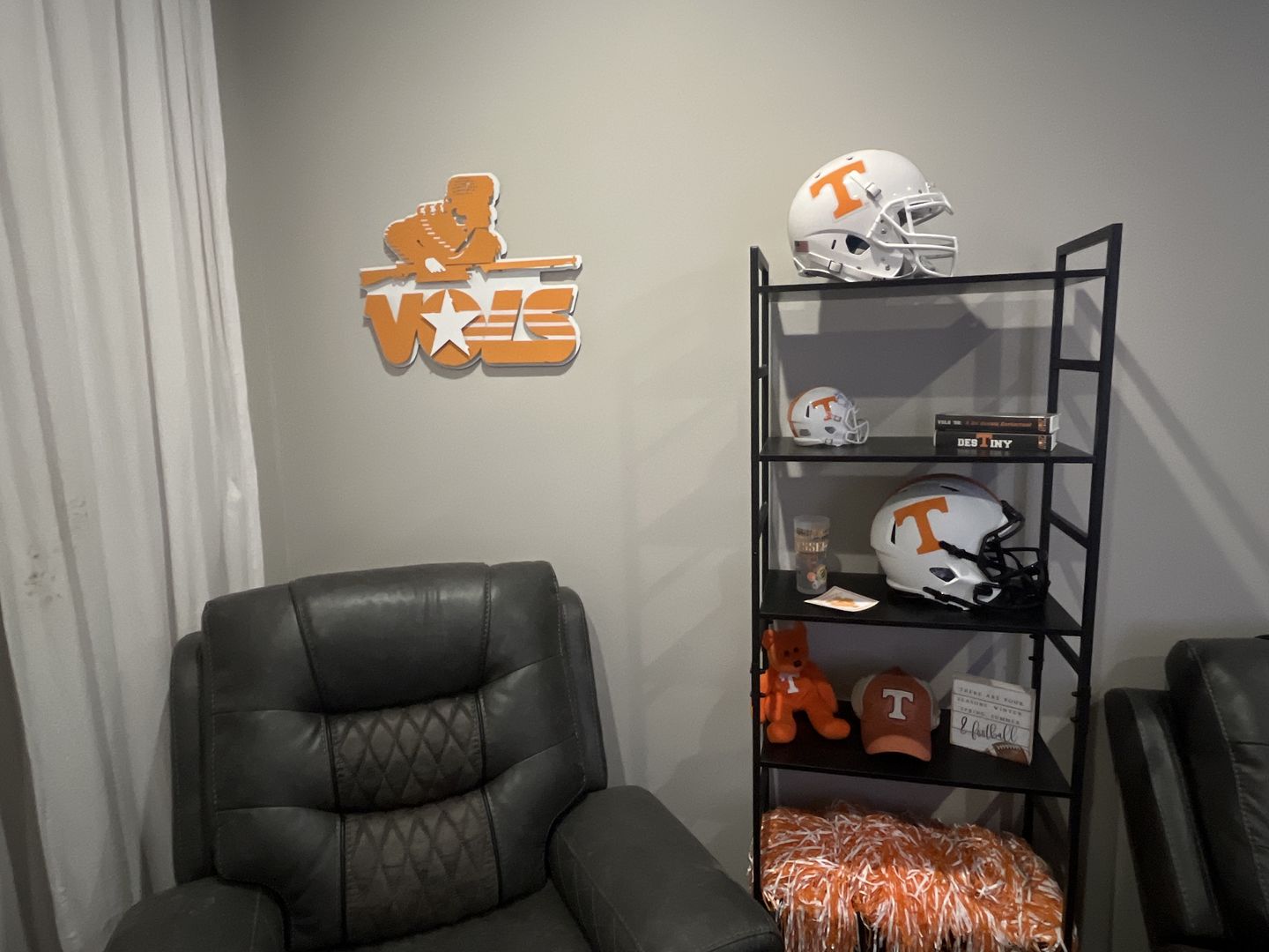 Customer photo review of Tennessee Volunteers  VOLS 1983 VAULT "Davy Crockett"  3D Vintage Metal Wall Art