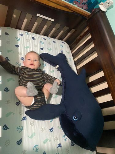 Customer photo review of The Whale