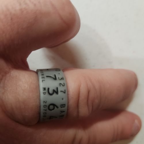 Customer photo review of Men's Silicone Duck Band Ring