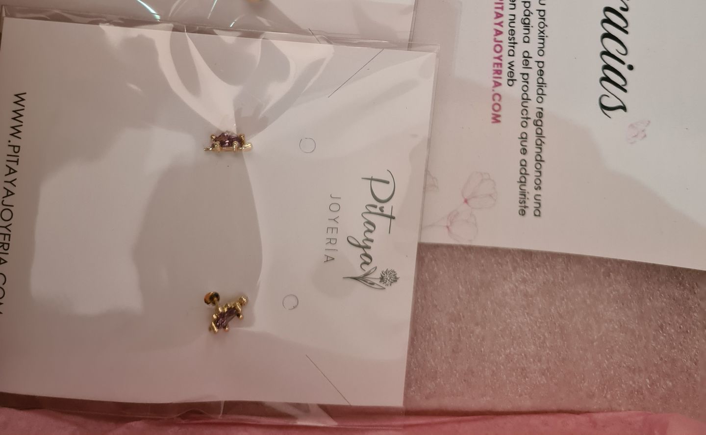 Customer photo review of Aretes de Dinosaurio
