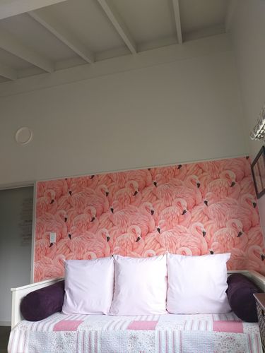 Customer photo review of Florida Flamingo Wallpaper