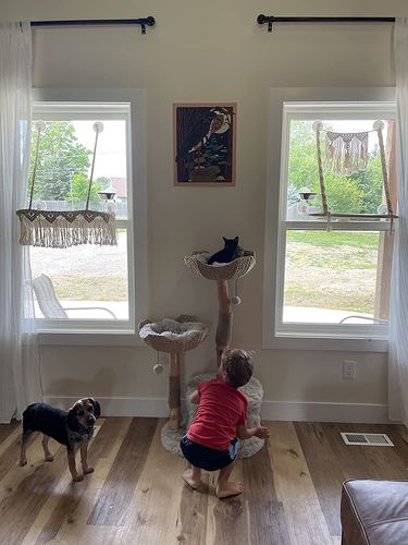 Customer photo review of Michu Selected Real Wood Cat Tree, Large Pre-Order