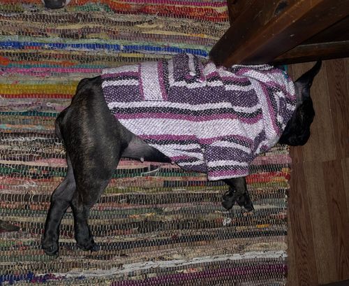 Customer photo review of Playa Poncho - Surprise Color