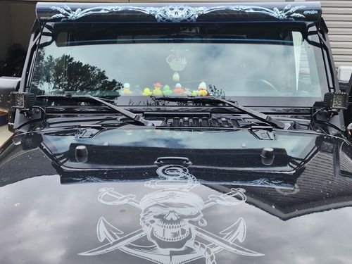 Customer photo review of 3D Skeleton Light Bar Insert