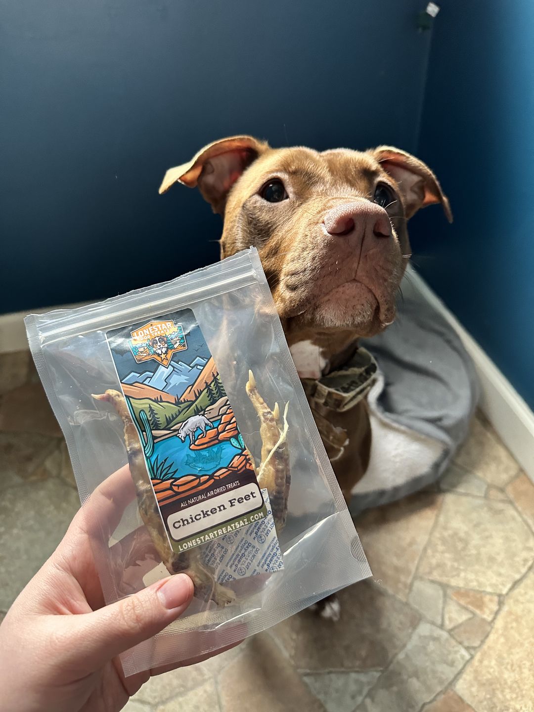 Customer photo review of Chicken Feet