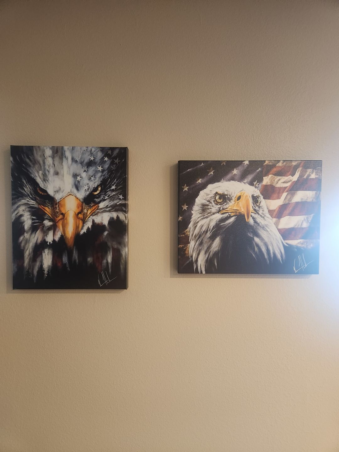 Customer photo review of Stripes of Freedom