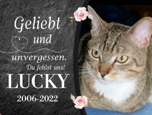 Customer photo review of Katzen Foto-Becher mit eigenem Spruch