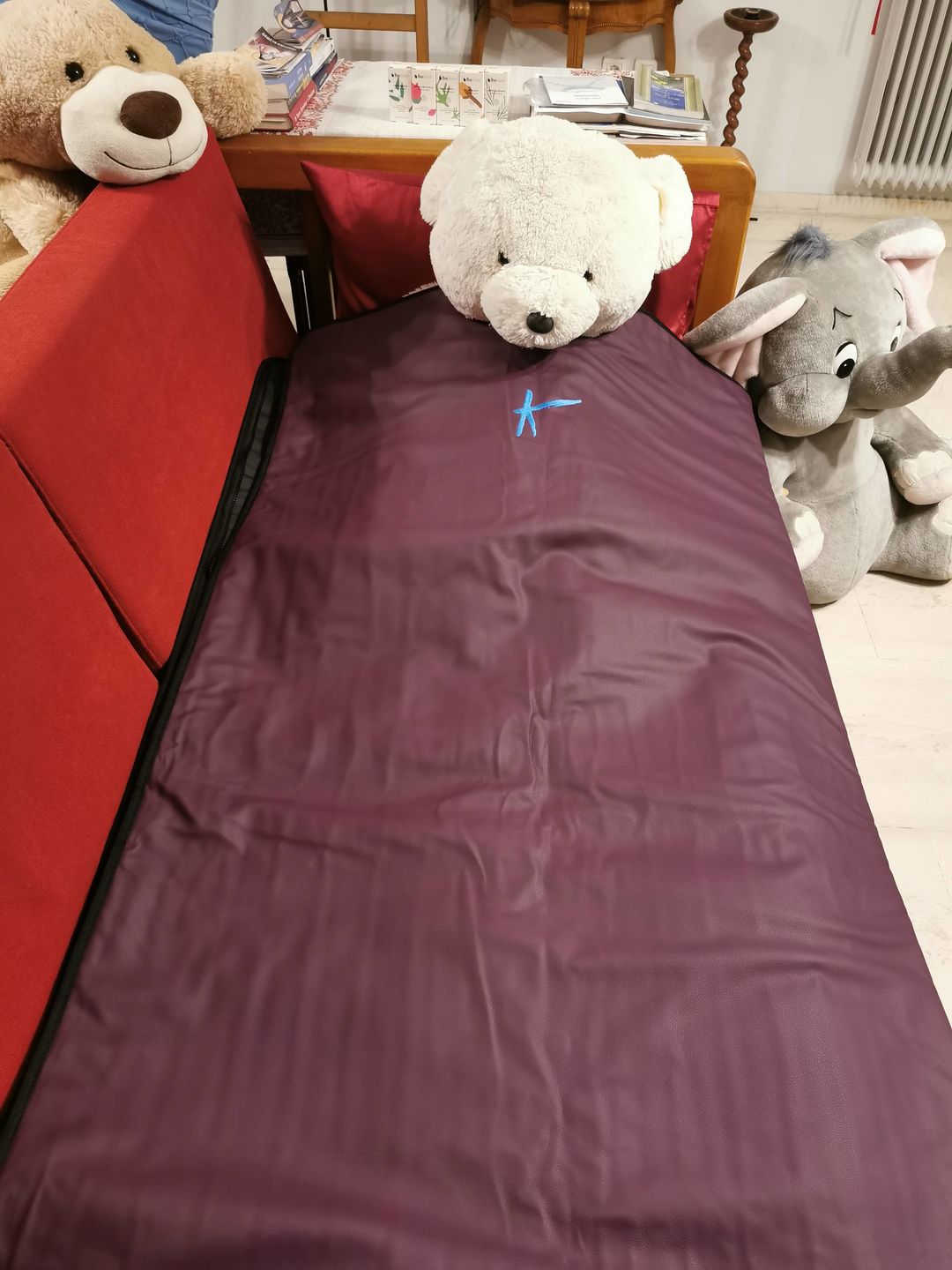 Customer photo review of Sauna Blanket Insert
