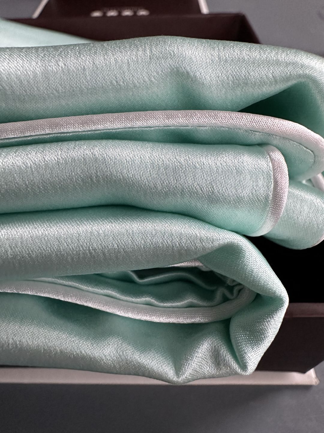 Customer photo review of Teal Breeze Pure Silk Pillowcase