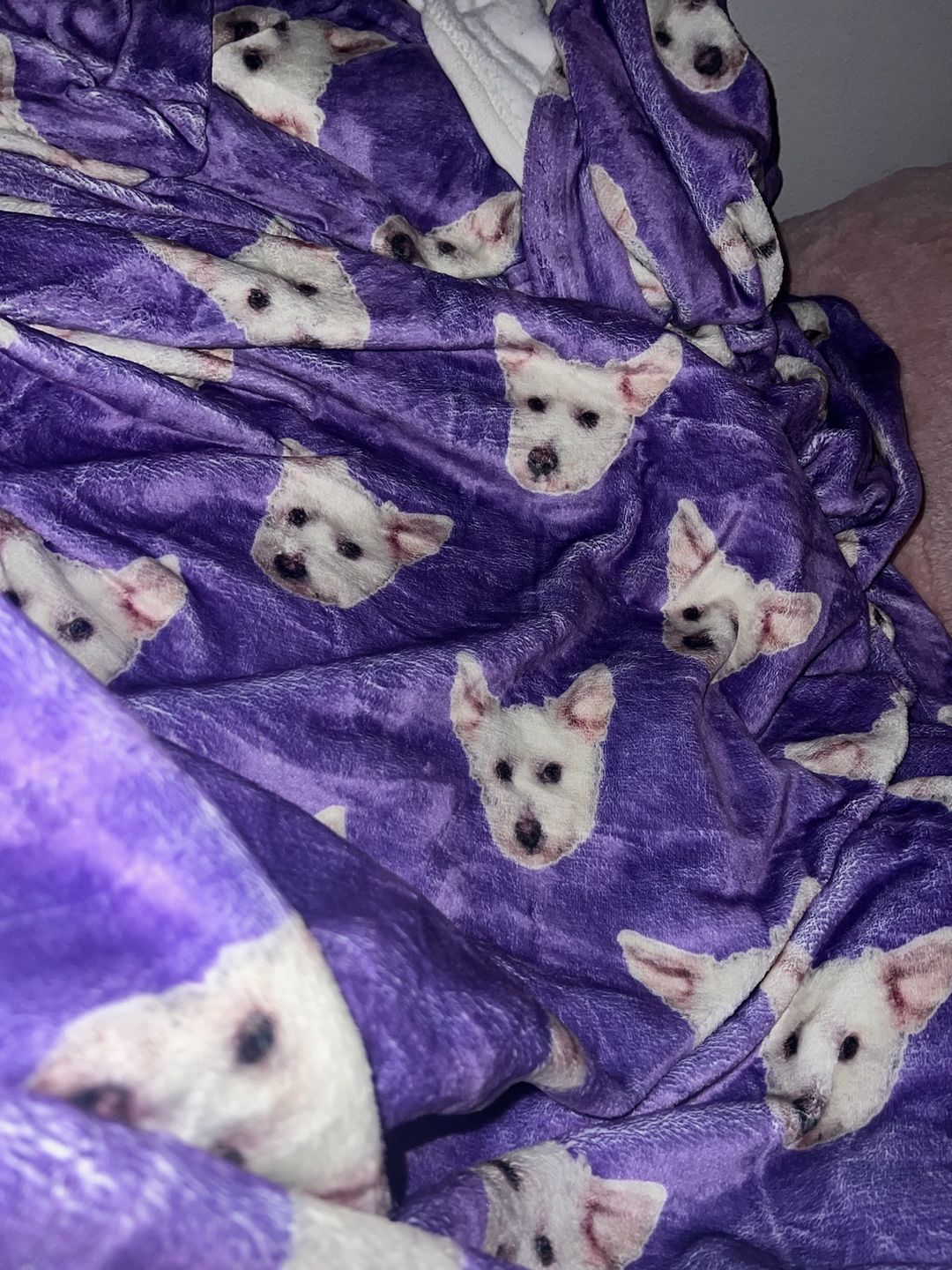Customer photo review of Custom Pet Art Fleece Blanket