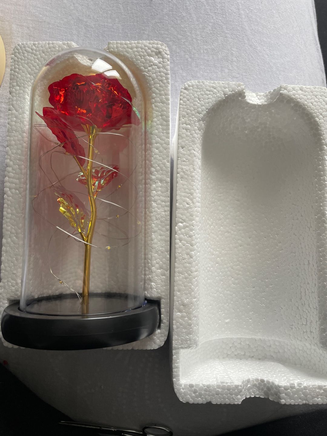 Customer photo review of Galaxy Enchanted Rose