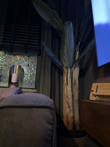Customer photo review of Kunst Bananenplant Serie B 180cm