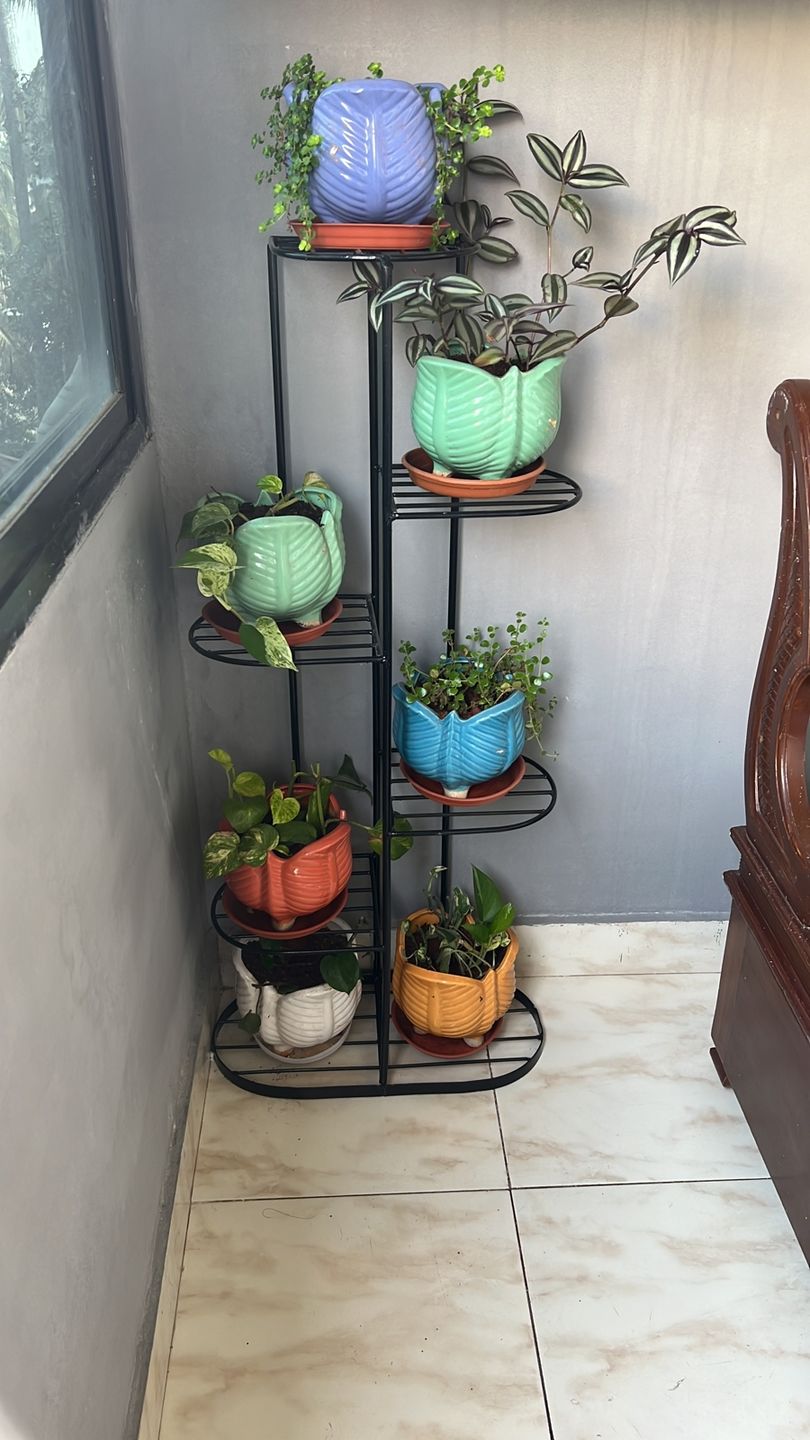 Customer photo review of Plant Stand Metal 6 Tier 7 Potted Multiple Flower Pot Holder Shelf Indoor Outdoor Planter Display Shelving Unit for Patio Garden Corner