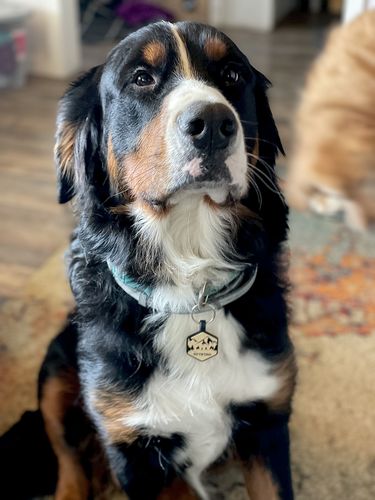 Customer photo review of Mountain Silicone