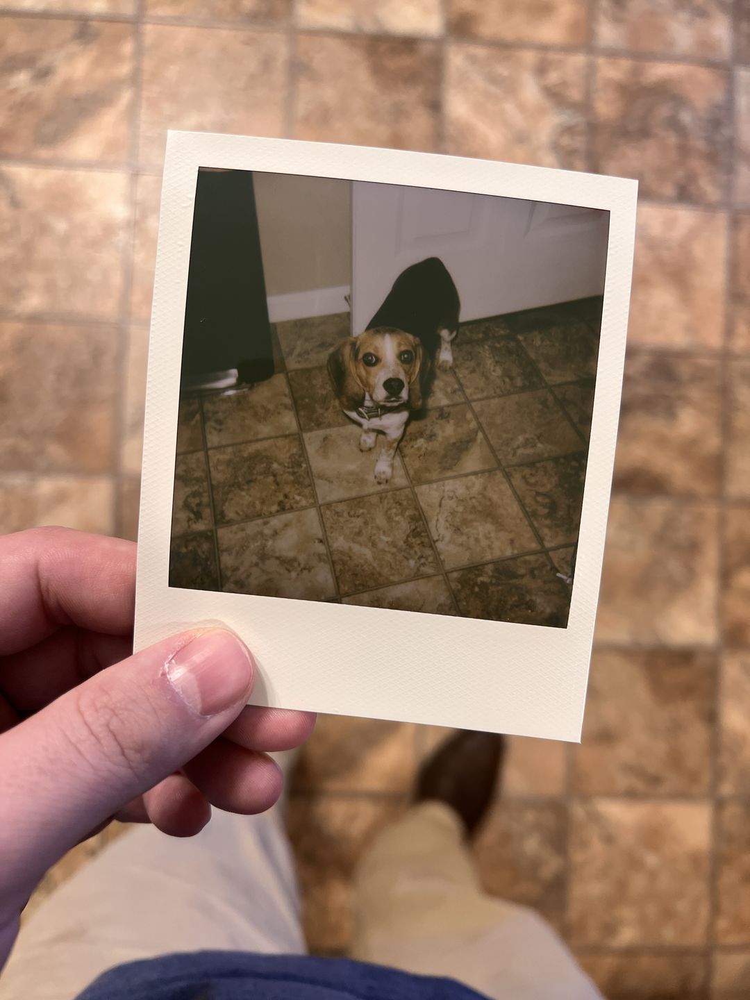 Customer photo review of Polaroid Color 600 Instant Film - Five Pack