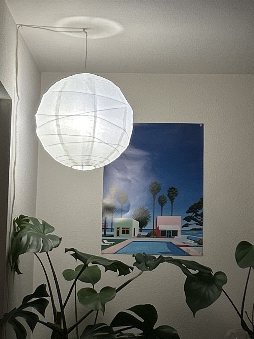 Customer photo review of 16" Beige / Ivory Round Paper Lantern, Crisscross Ribbing, Chinese Hanging Wedding & Party Decoration