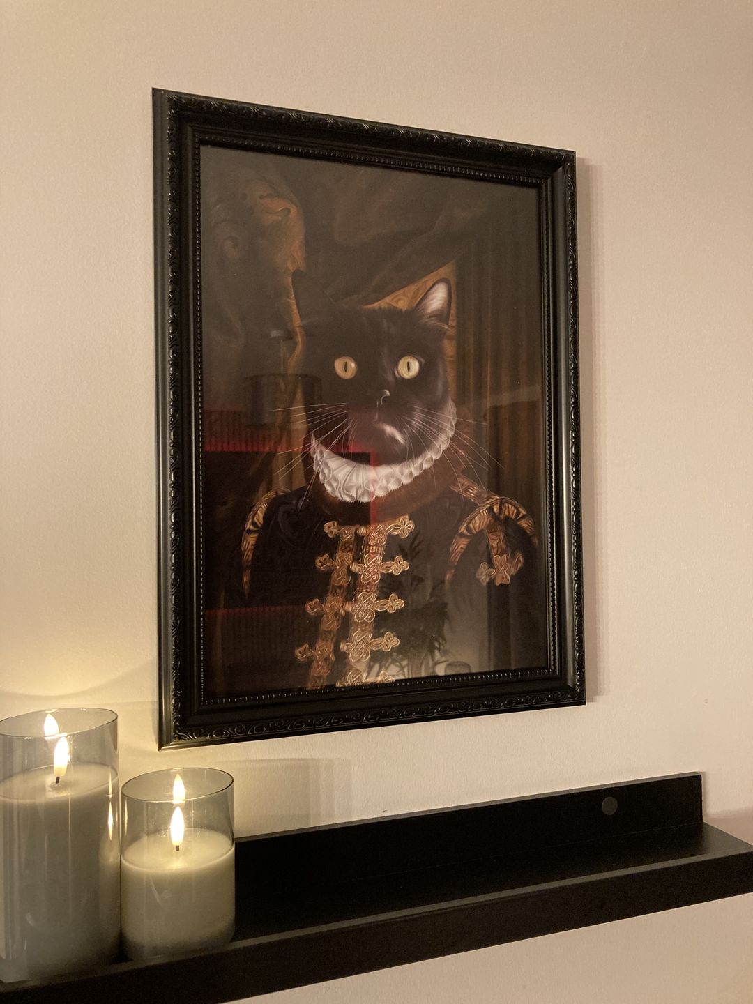 Customer photo review of The Count: Custom Pet Portrait