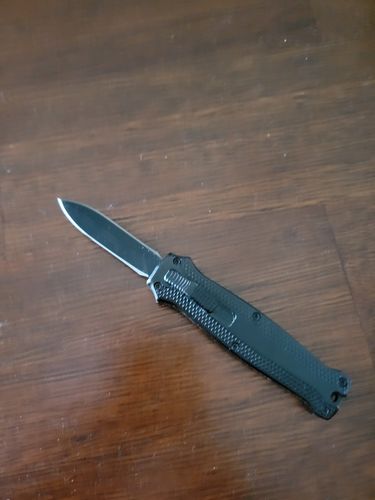 Customer photo review of FREE MINI!