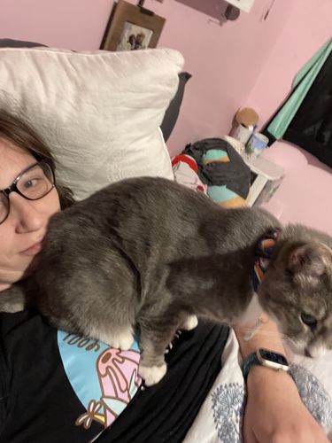 Customer photo review of Evergreen