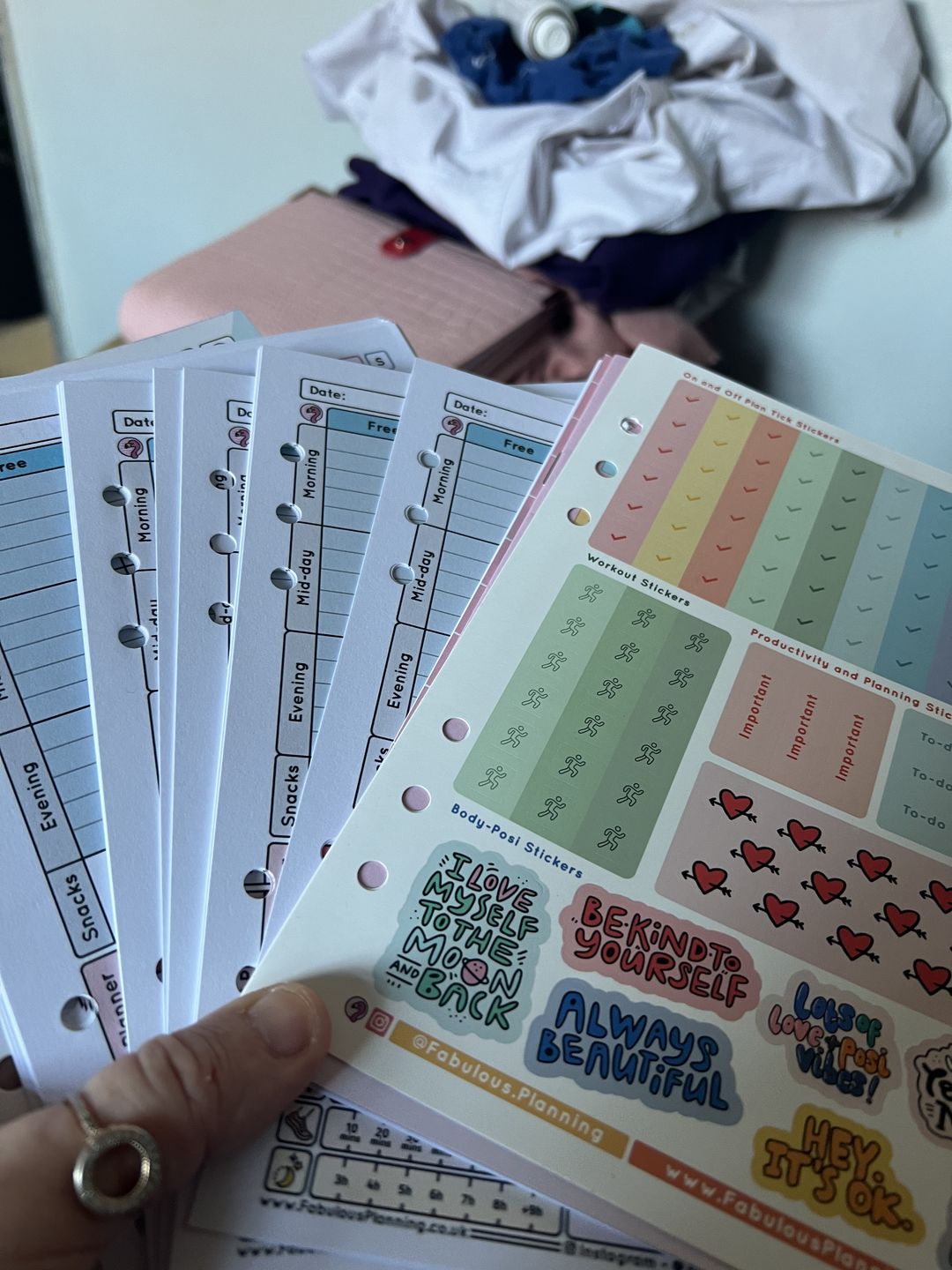 Customer photo review of Slimming World - Compact - Organiser Refill