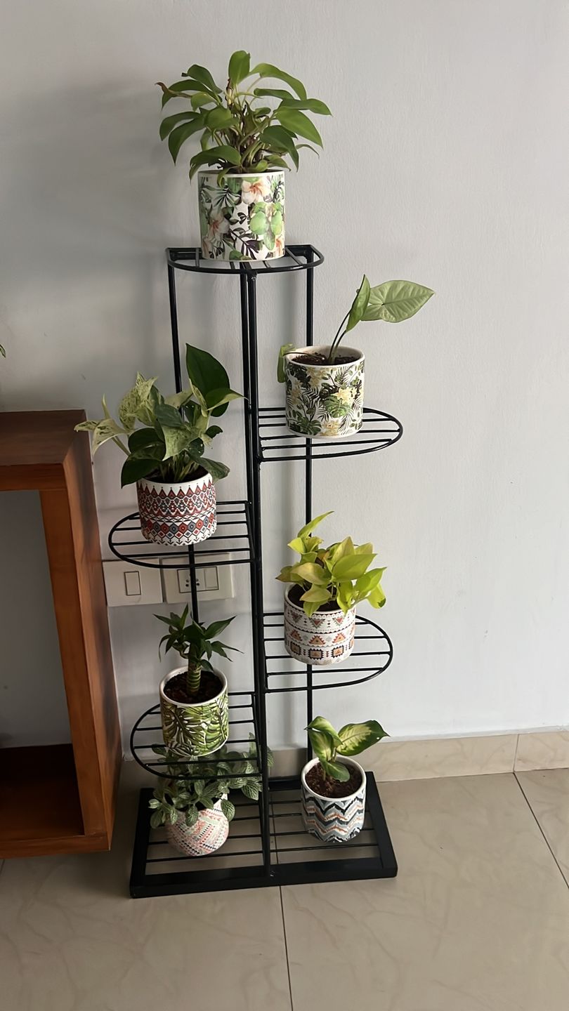 Customer photo review of Plant Stand Metal 6 Tier 7 Potted Multiple Flower Pot Holder Shelf Indoor Outdoor Planter Display Shelving Unit for Patio Garden Corner